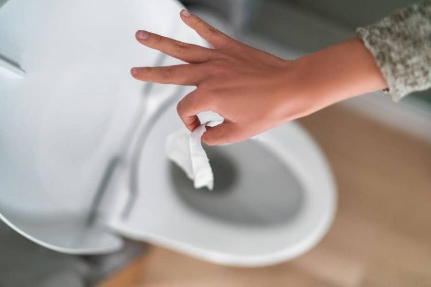 Things That Should Never Be Flushed Down The Toilet