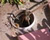 How Long Does It Take to Unclog a Sewer Drain?
